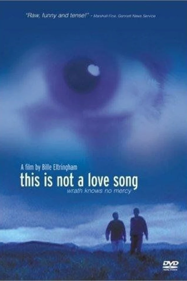 This Is Not a Love Song Poster